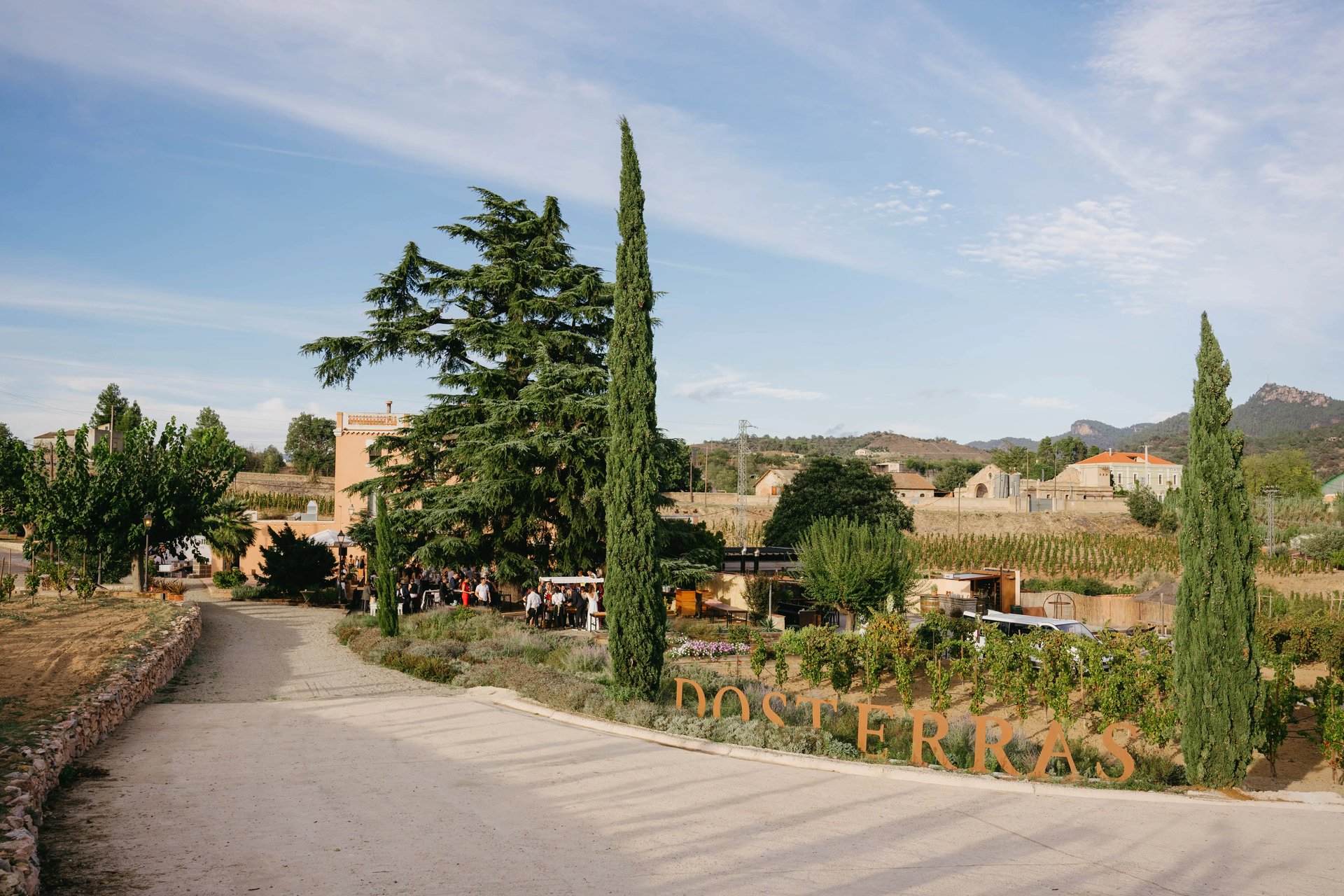 Dosterras wine garden: Una celebración entre viñedos y emociones