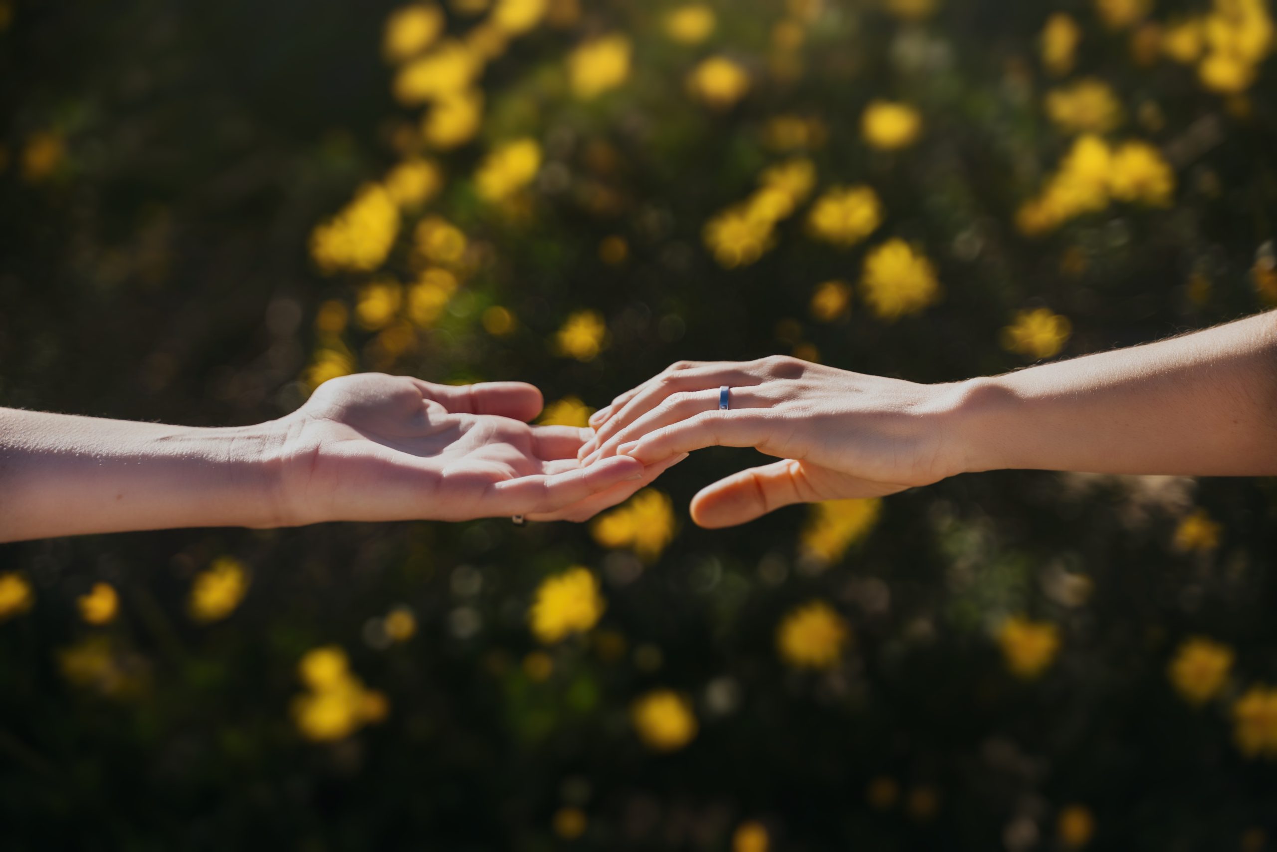 Retrato de las novias
